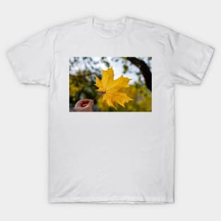 Hand holding yellow maple leaf T-Shirt